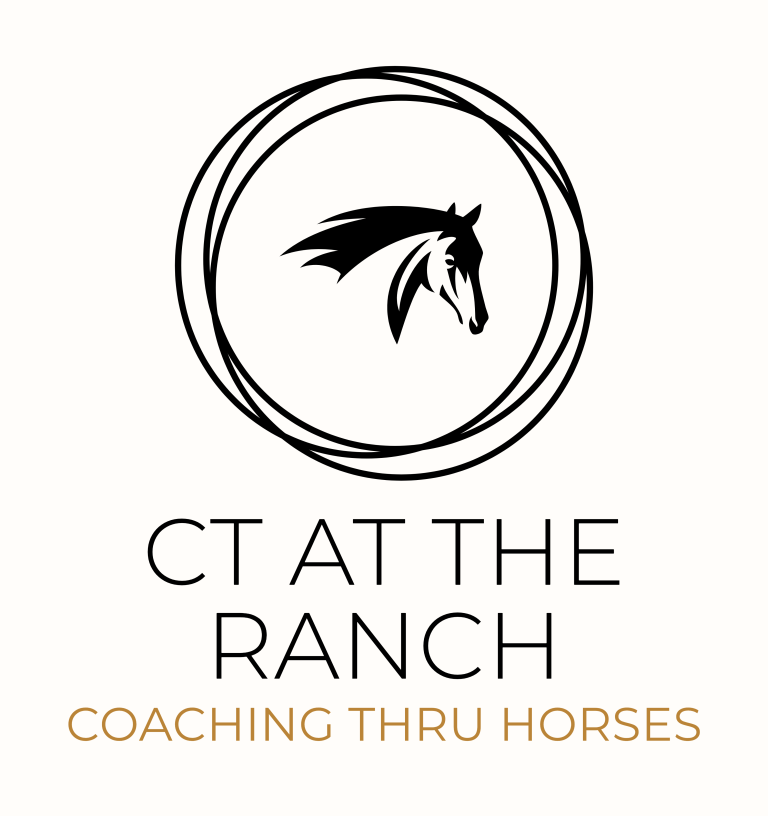 ct at the ranch logo