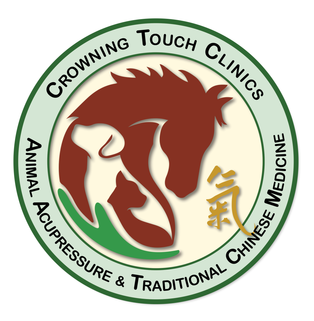 Crowning touch logo