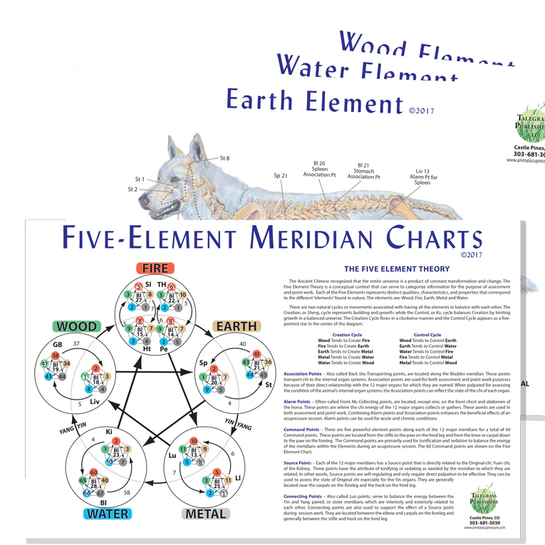 CANINE 5 ELEMENT MERIDIAN CHART GRAPHIC