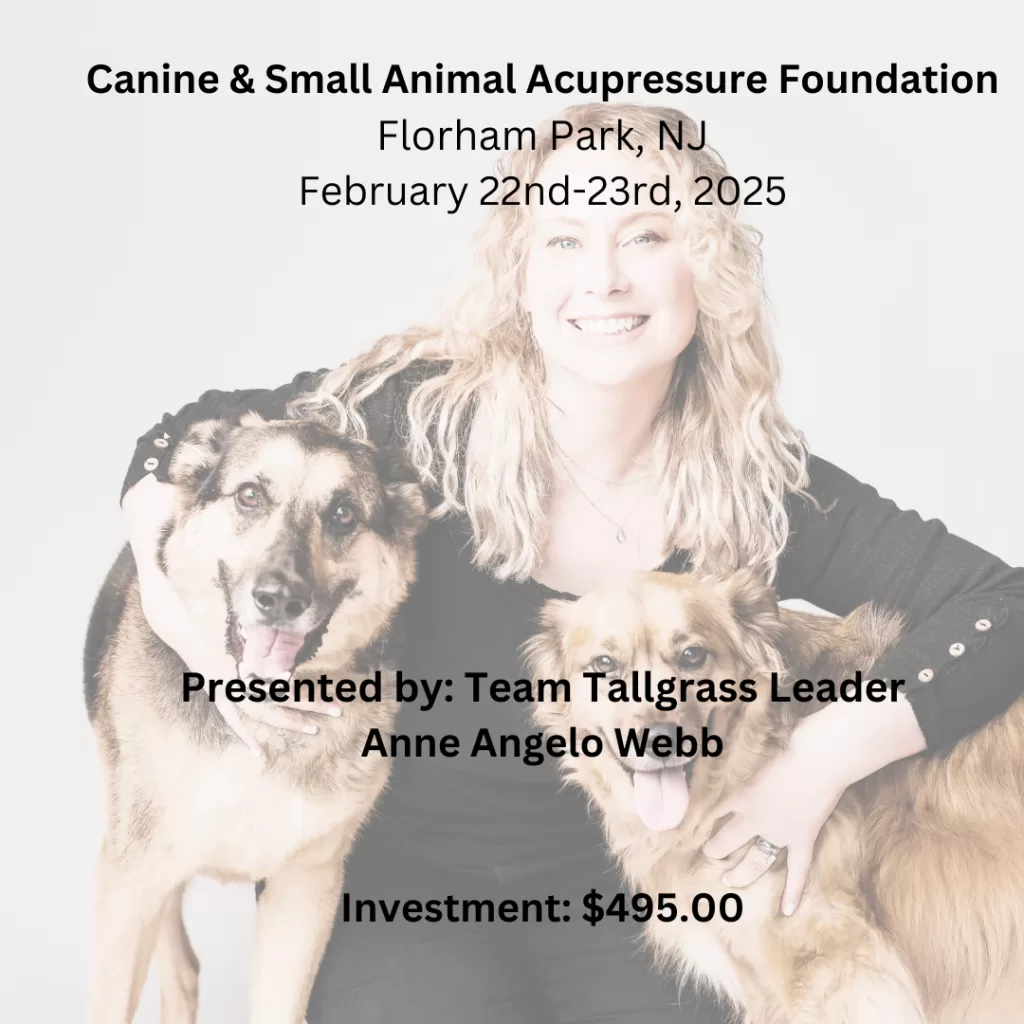 Canine and Small Animal Acupressure flyer