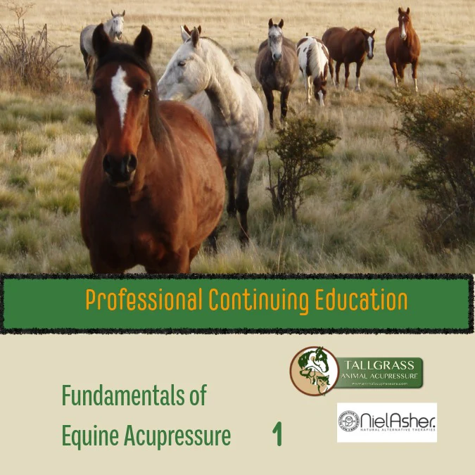 Cover image for level one course